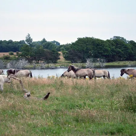 Zeitraumpause Апартаменты