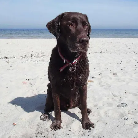 Zeitraumpause * Гельтинг